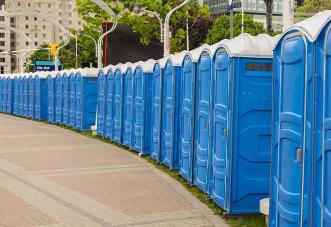 Seasonal porta potty units set up at a Winona, Minnesota venue